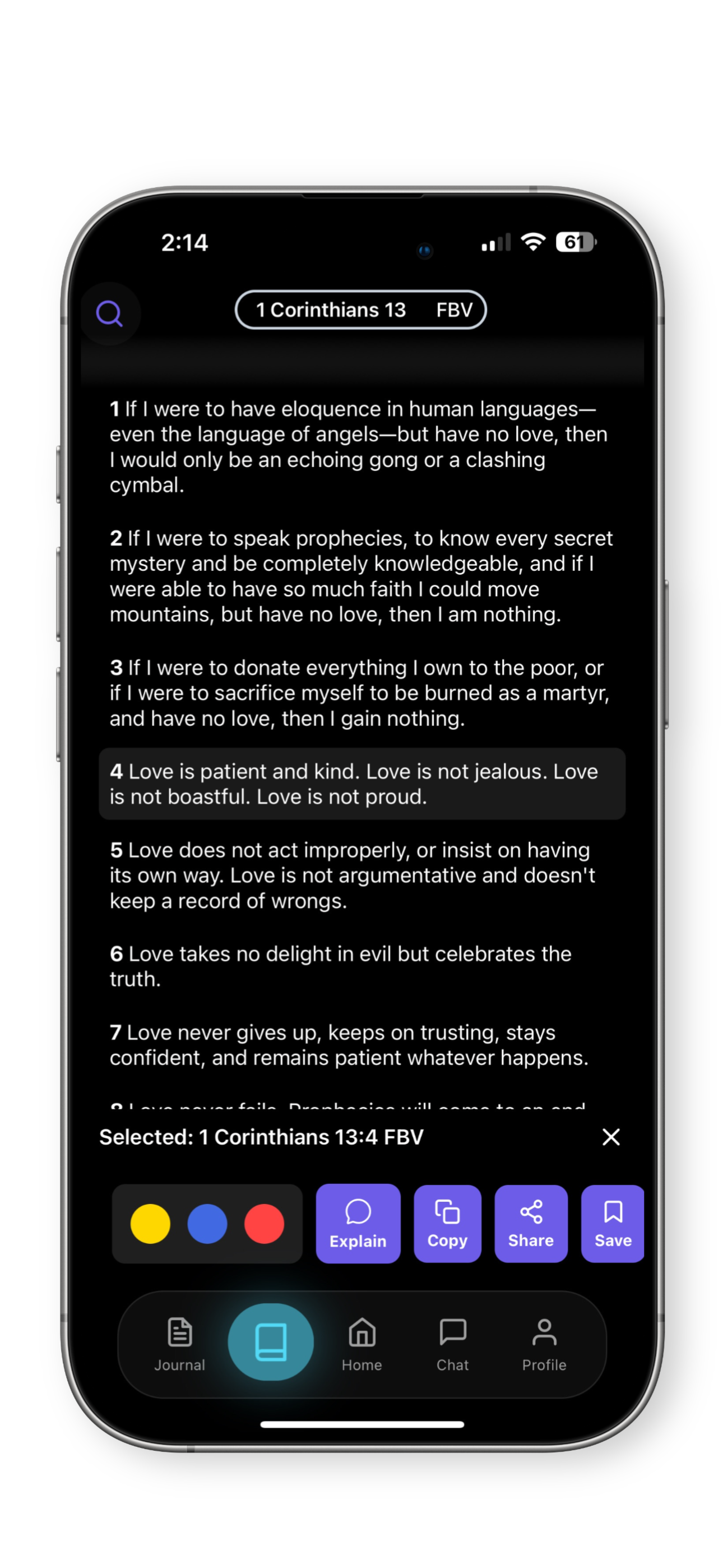 Bible Buddy app showing 1 Corinthians 13 - the love chapter with explain, copy, share and save features